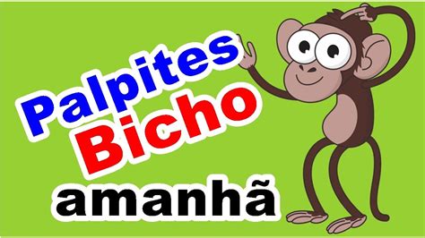 palpite jogo do bicho para amanha